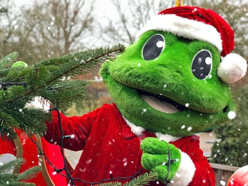 Activities & entertainment