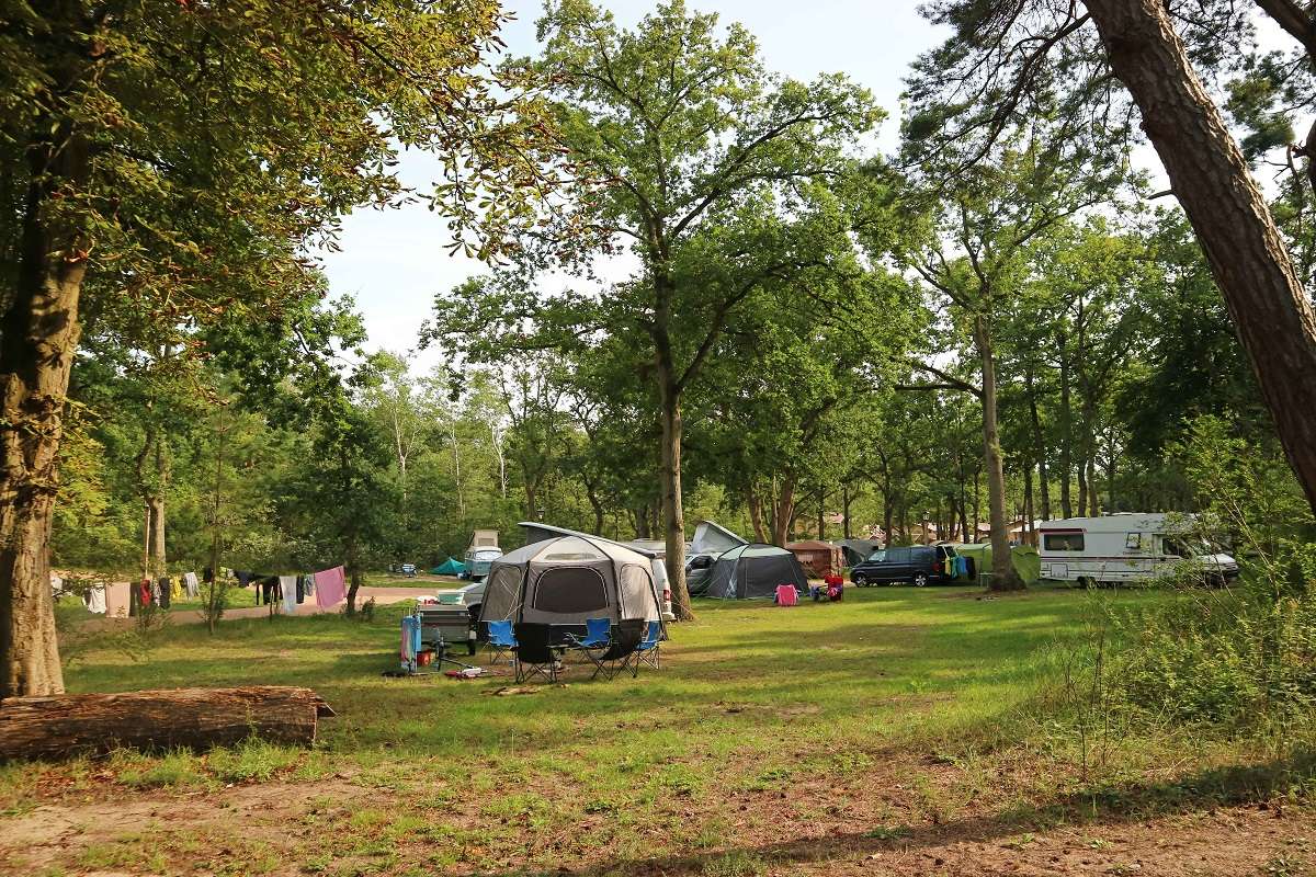 Duinvallei - Campsite - Holiday Park Duinrell